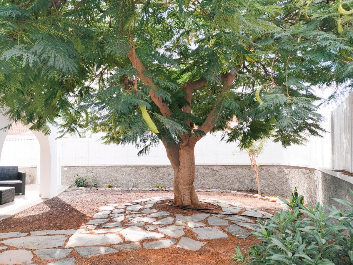 Pretty Terrace Holiday House In Maspalomas Playa del Ingles  Ngoại thất bức ảnh